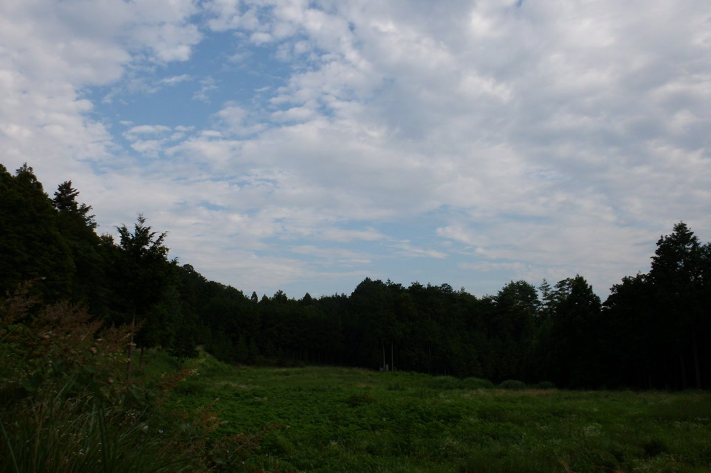 2014/08/02_野原・林・雲