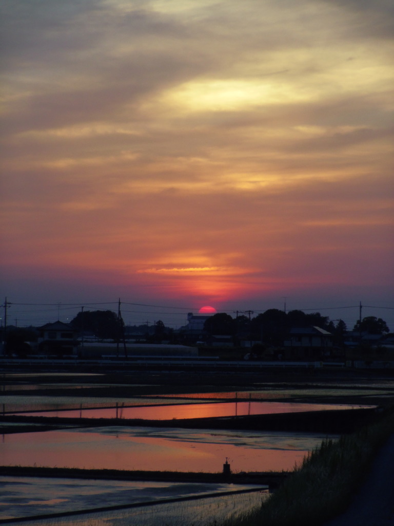 2017/05/21_水田の夕日