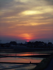 2017/05/21_水田の夕日