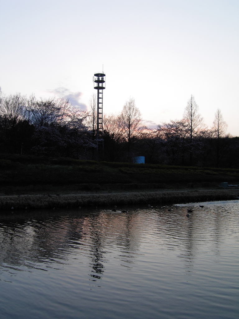 2017/04/02_花の丘農林公苑の夕暮れ