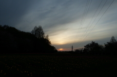 2016/04/09_花の丘農林公苑の夕暮れ