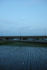 2016/06/18_水田の夕月