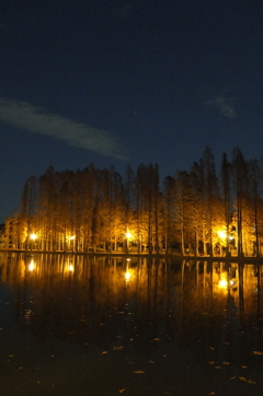 2014/12/14_夕暮れの別所沼公園