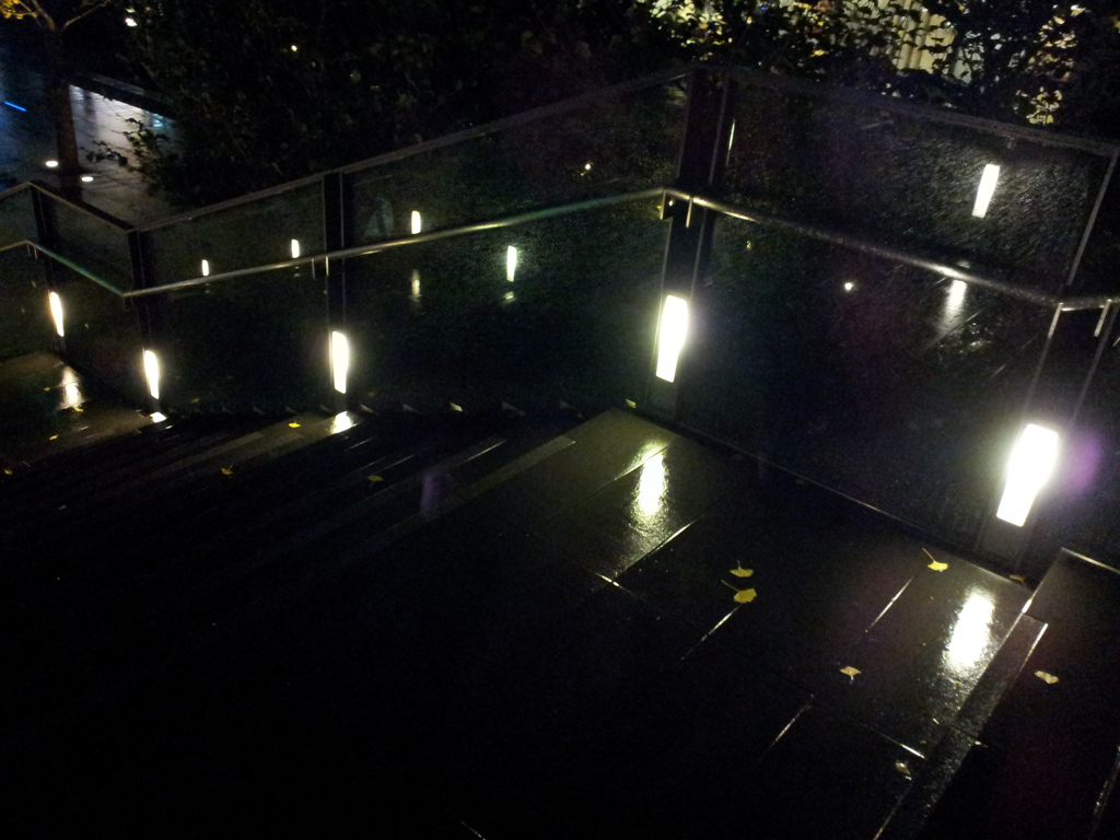 2014/11/26_夜、雨上がりの秋葉原