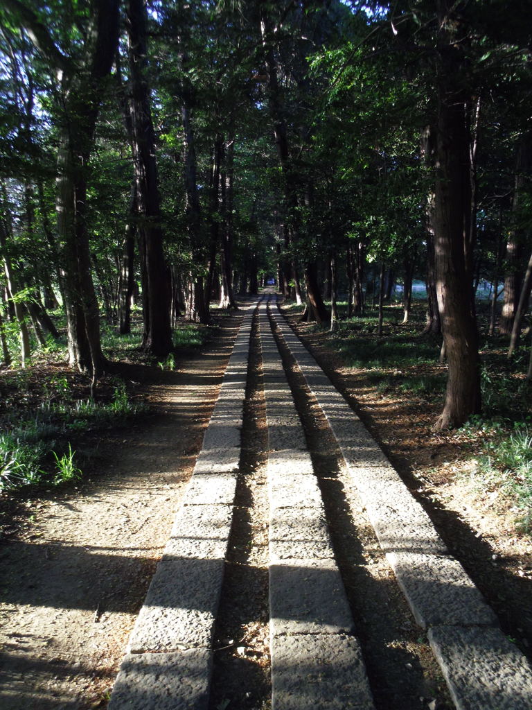 2017/05/04_神明神社参道（没カット）