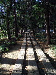 2017/05/04_神明神社参道（没カット）