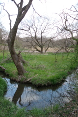 2016/03/26_北本自然観察公園