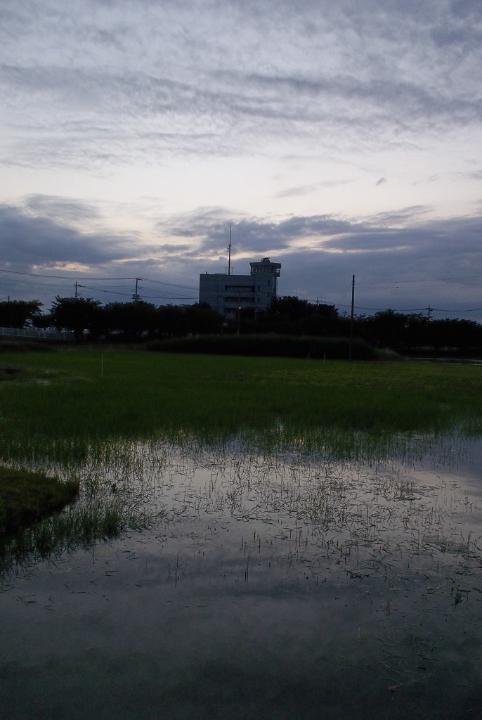 2015/06/21_夕暮れのラブミー農場跡地