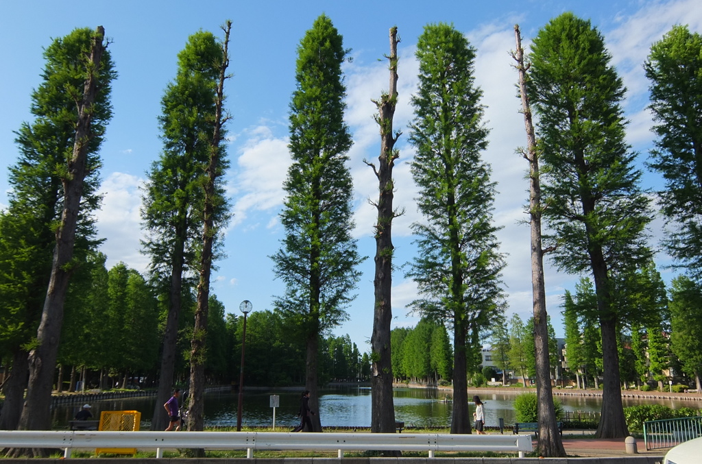 2014/05/18_別所沼公園