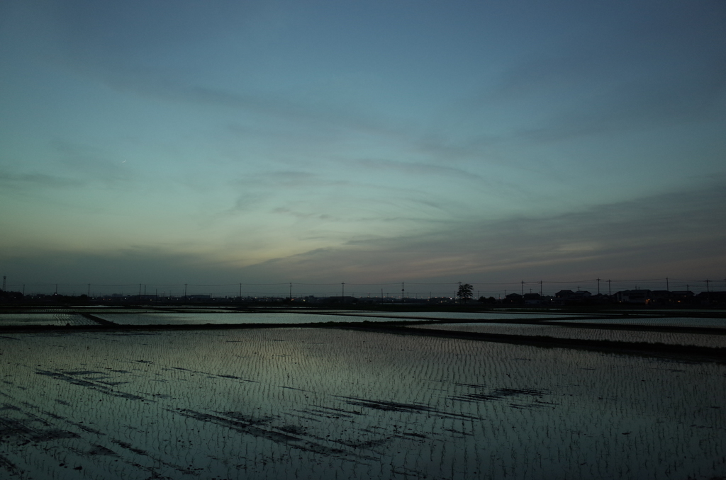 2016/05/07_水田の夕暮れ