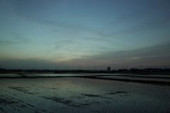 2016/05/07_水田の夕暮れ