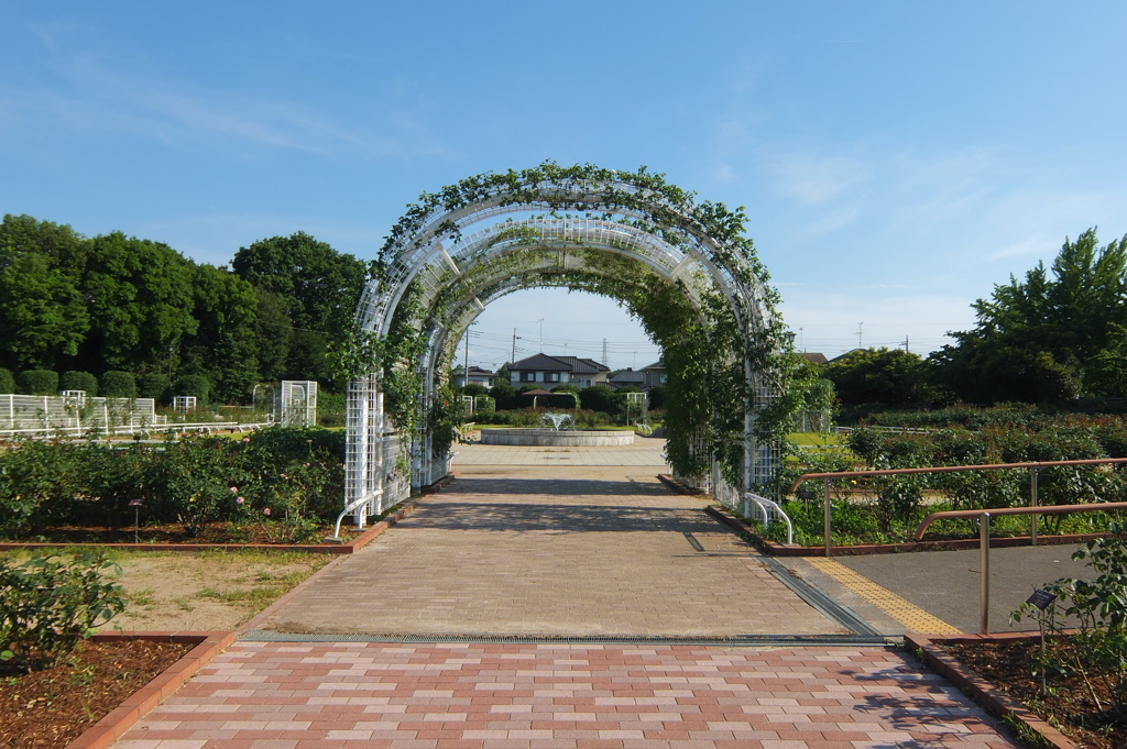 2014/06/15_伊奈バラ園