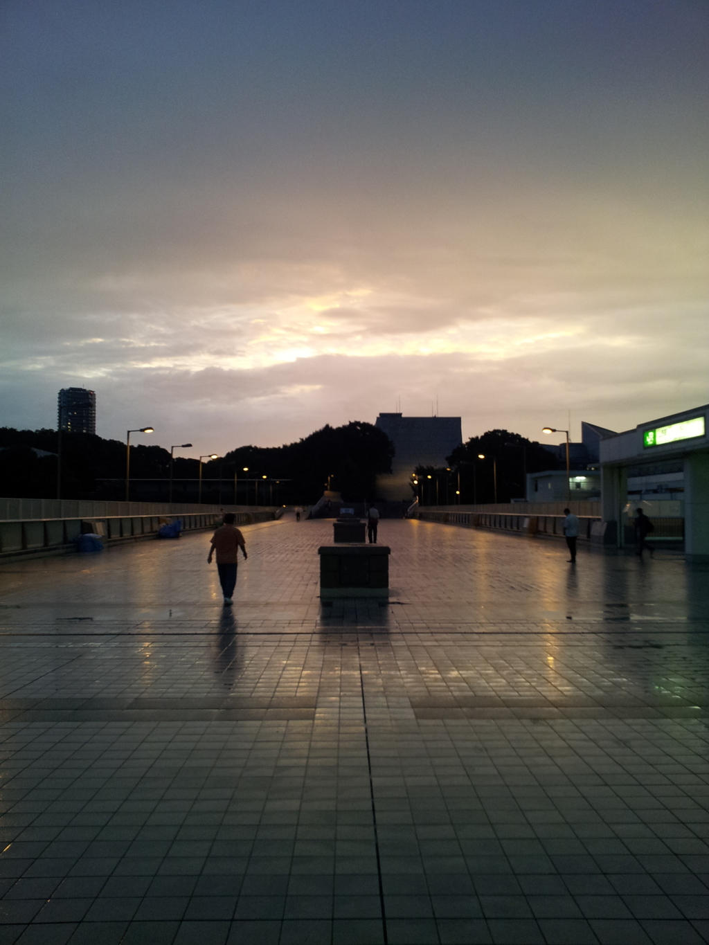 2015/07/18_雨上がり、パンダ橋の夕暮れ