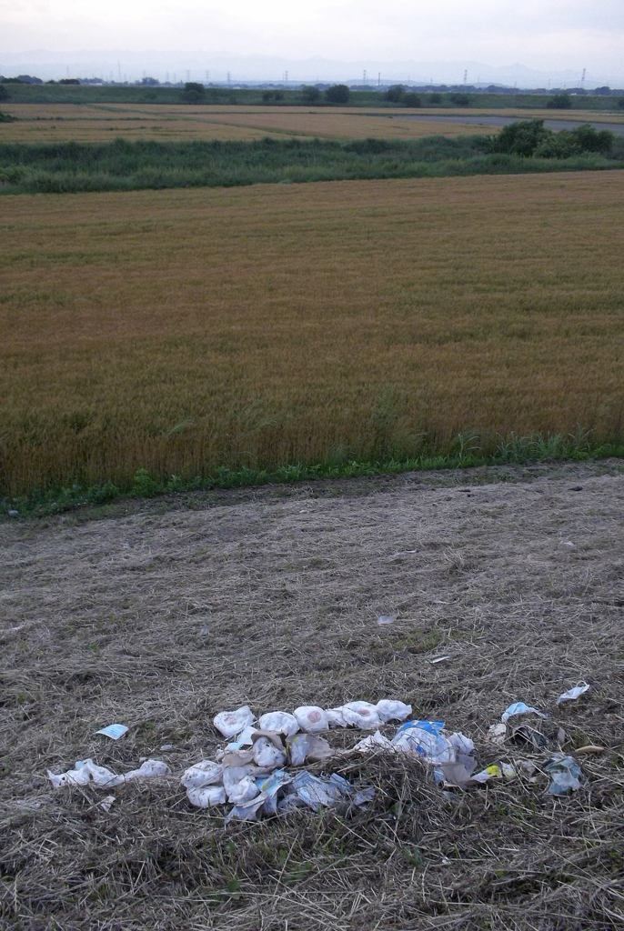 2015/05/30_荒川河川敷−自然と文明