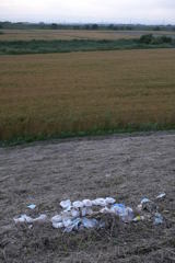 2015/05/30_荒川河川敷−自然と文明