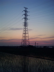 2016/06/18_水田の夕暮れ