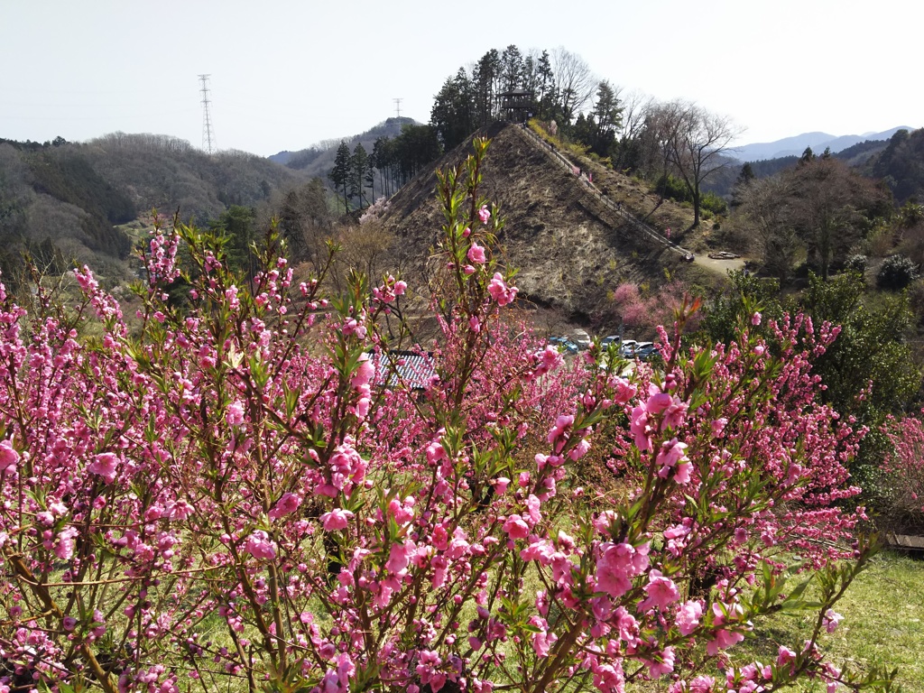 2018/03/25_花桃の郷