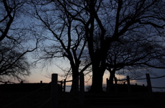 2014/12/31_夕暮れの丸墓山古墳