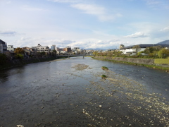 2019/04/12_七条大橋から鴨川上流を望む