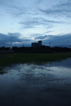 2015/06/21_夕暮れのラブミー農場跡地