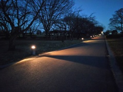 2016/12/30_夕暮れのさきたま古墳公園