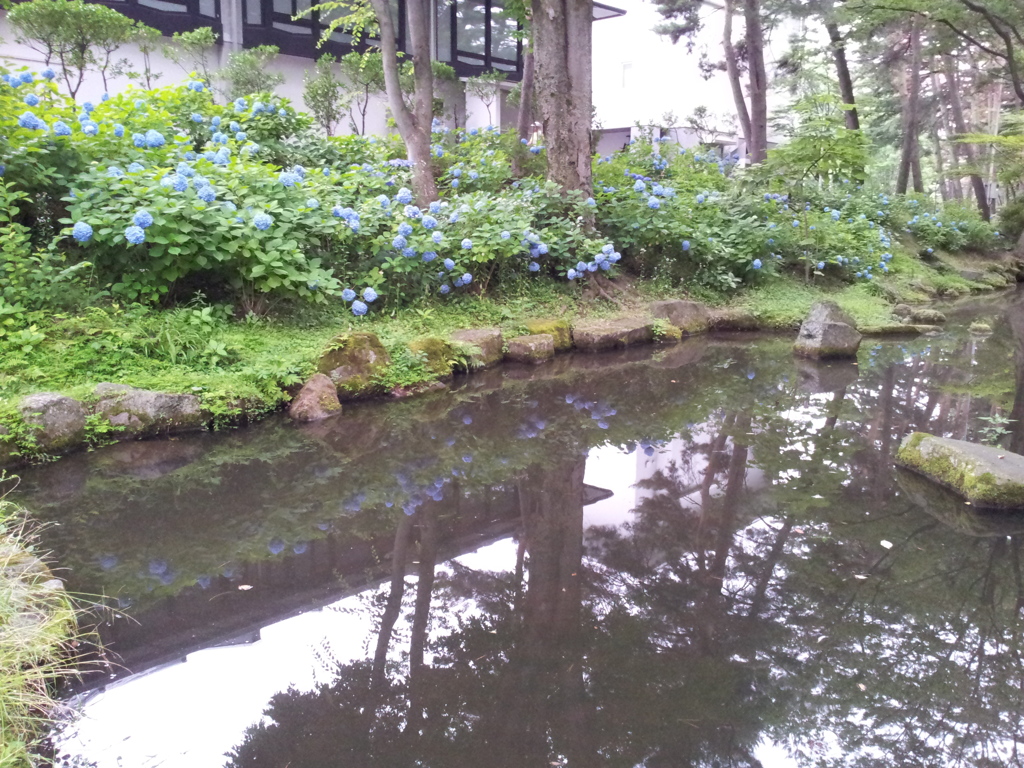 2016/07/16_盛岡城跡公園（岩手公園）鶴ケ池