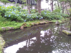 2016/07/16_盛岡城跡公園（岩手公園）鶴ケ池