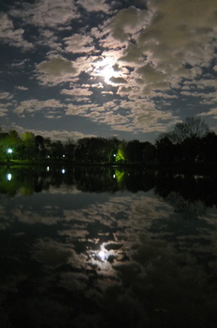 2014/12/06_月夜の北本総合公園