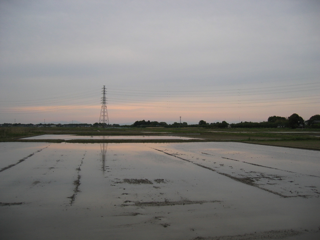 2017/05/03_水田の夕暮れ