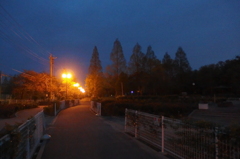 2015/04/19_夕暮れの伊奈町制施行記念公園