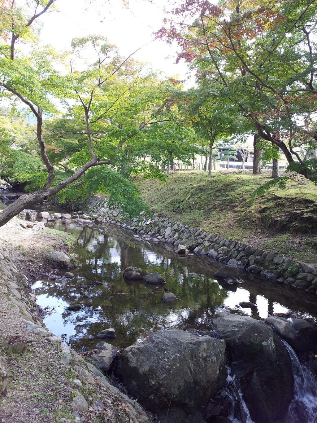 2016/10/18_奈良公園 吉城川