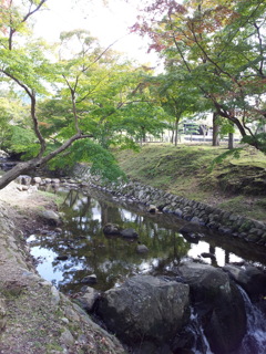 2016/10/18_奈良公園 吉城川