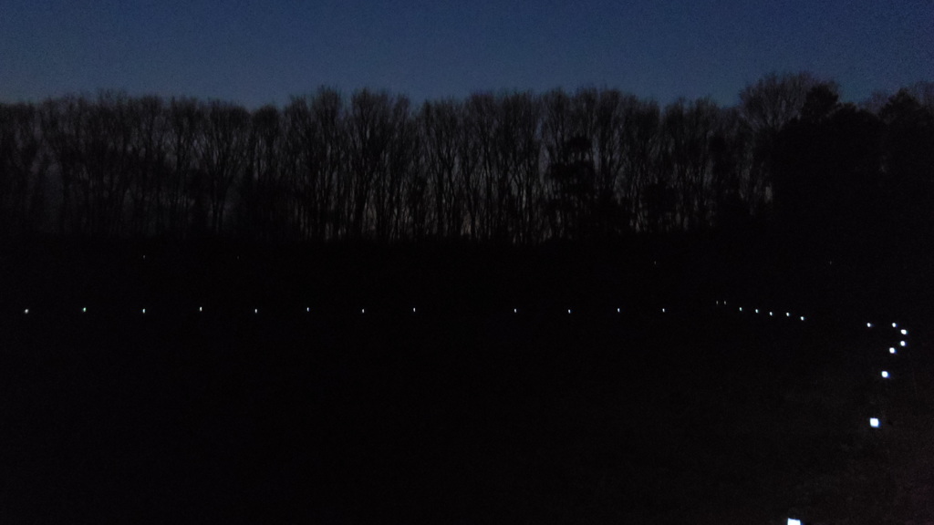 2014/01/18_夕暮れの木とソーラーライト