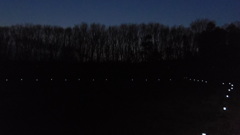 2014/01/18_夕暮れの木とソーラーライト