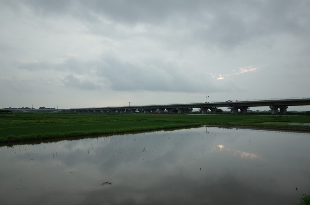 2015/07/05_水田に曇天