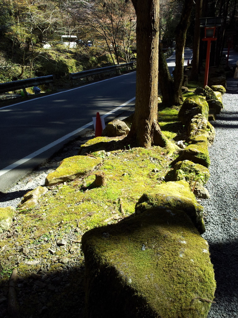 2019/04/13_貴船神社 奥宮参道の陰影