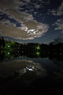 2014/12/06_月夜の北本総合公園