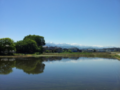 2017/05/19_水田に立山連峰