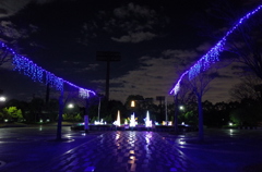 2014/12/06_夜の北本総合公園
