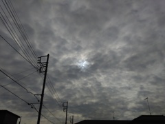 2016/11/07_曇天に太陽