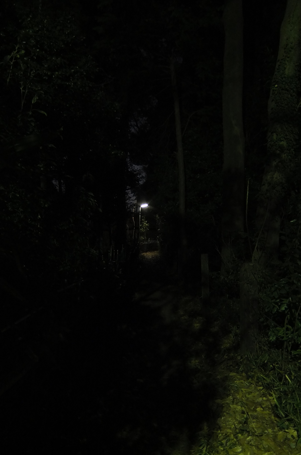 2015/02/14_夜道