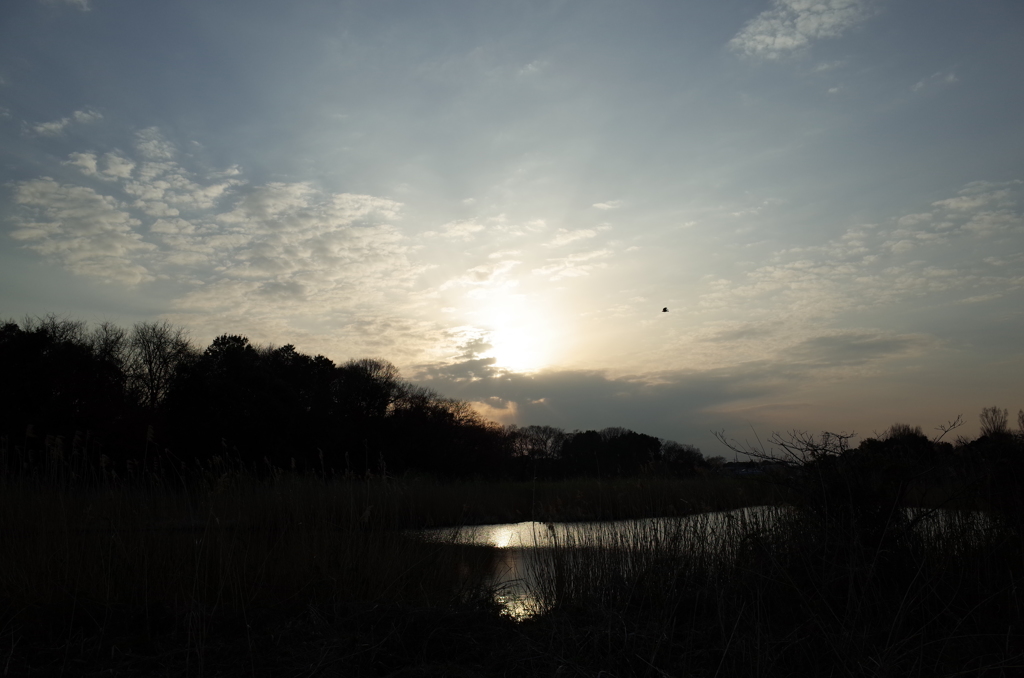 2015/03/21_赤坂沼の夕暮れ