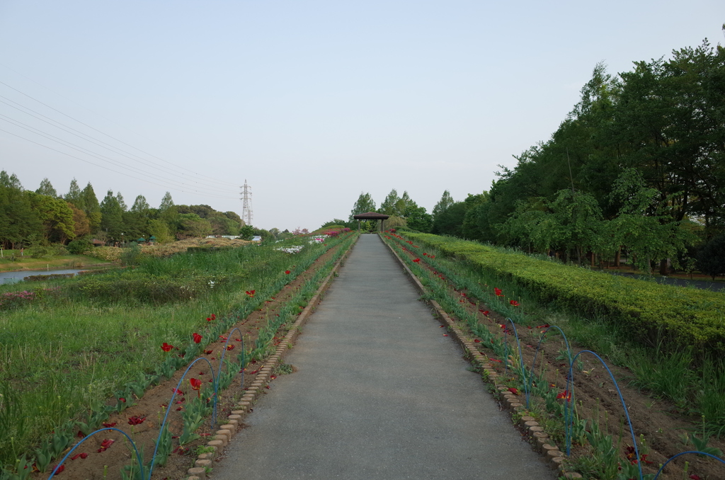2015/04/25_花の丘農林公苑