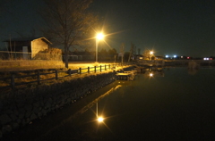 2015/01/24_夜の弁天沼
