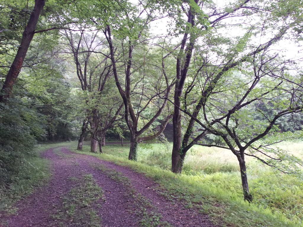 2016/07/17_小鹿公園