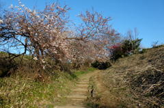 2014/03/22_高尾宮岡の景観地