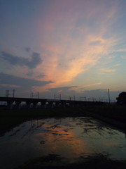 2017/07/17_水田の夕暮れ