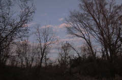2016/01/10_夕空