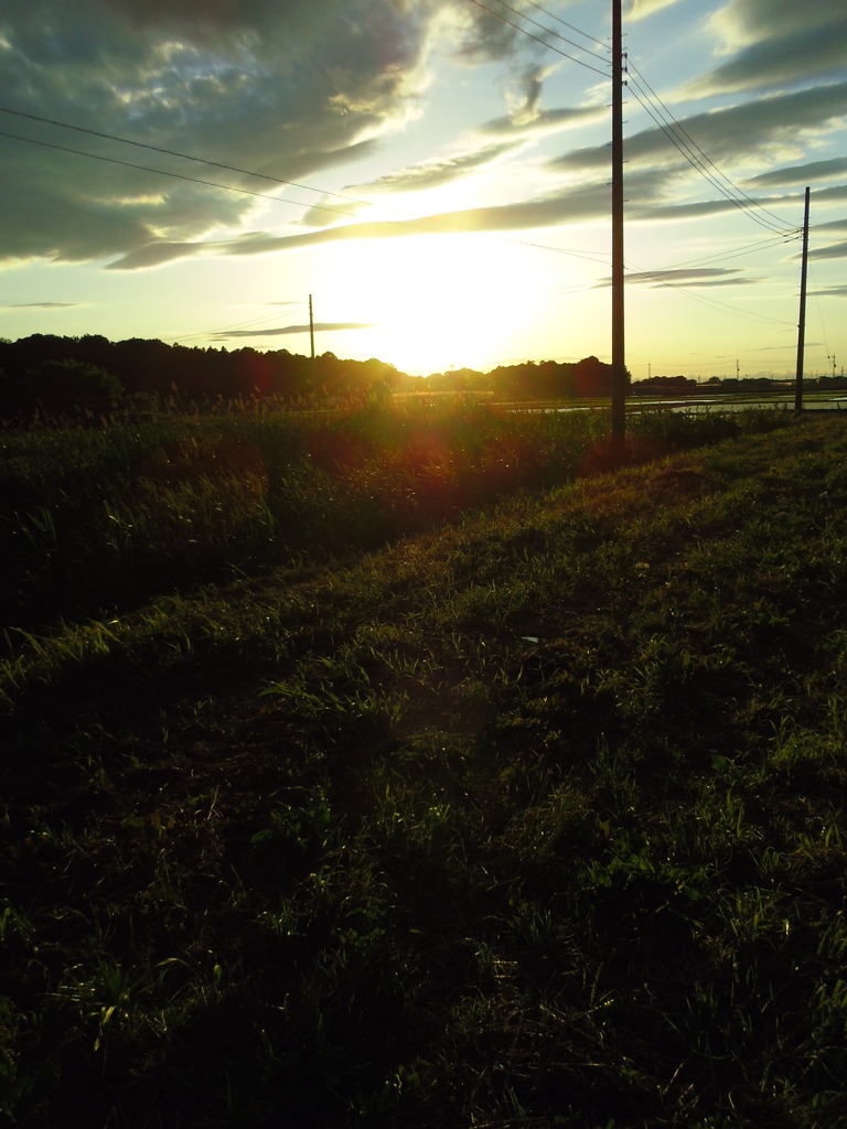 2017/06/04_西日を浴びる田園