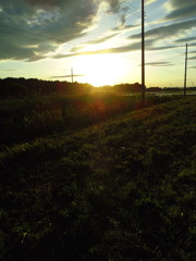 2017/06/04_西日を浴びる田園